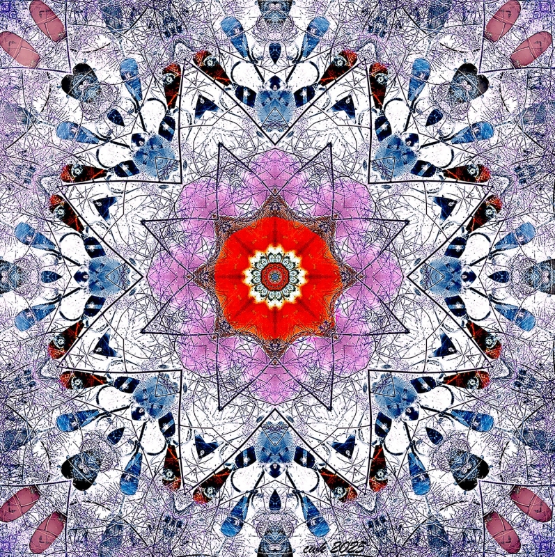 Eyes of the Peacock by artist Charlie Kreitler